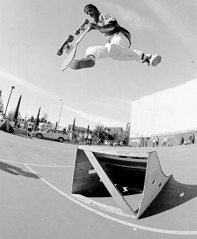 Ray Barbee / In Full View Tommy Guerrero 【メーカー直営】公式