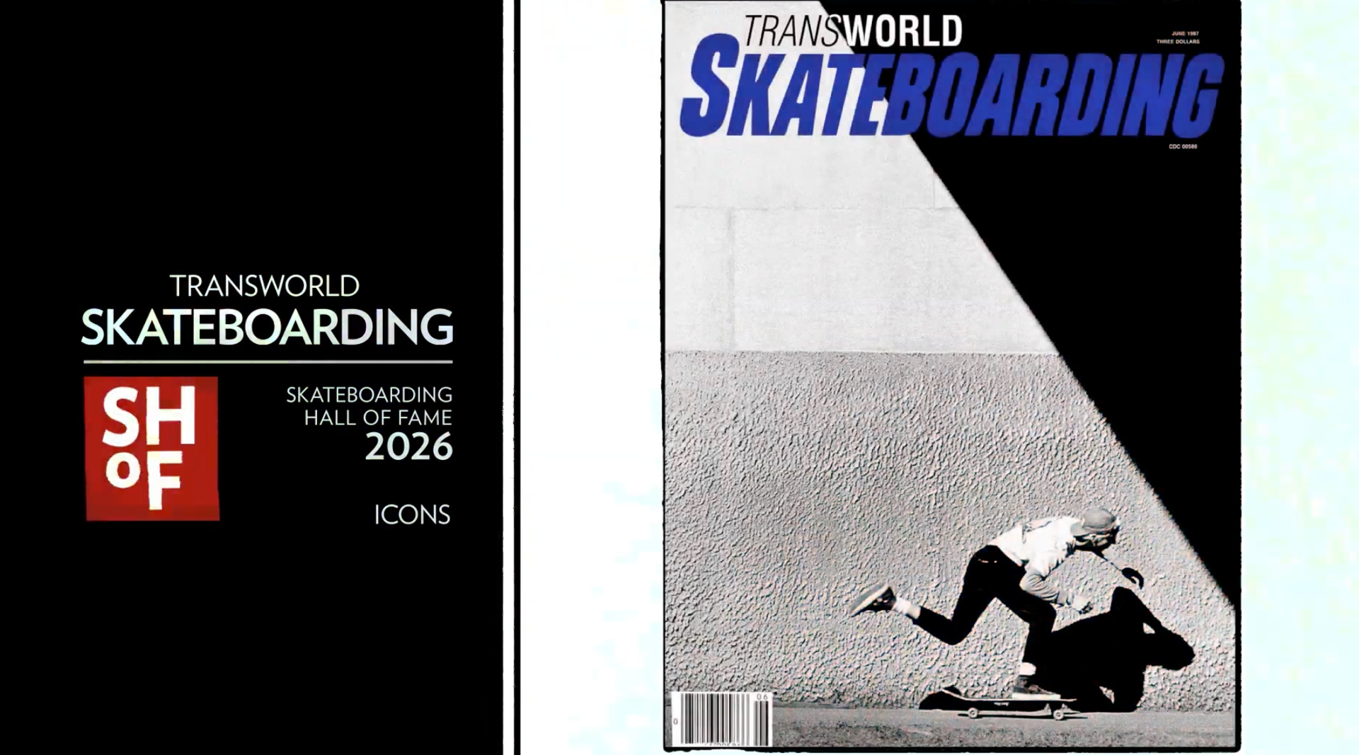 Skateboarding Hall of Fame: TransWorld Magazine—Icon Award