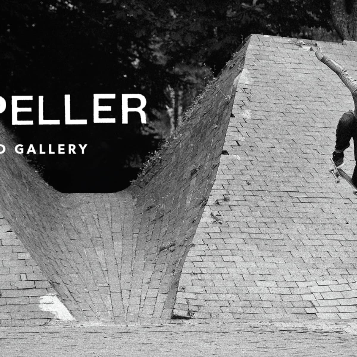 Vans propeller cheap
