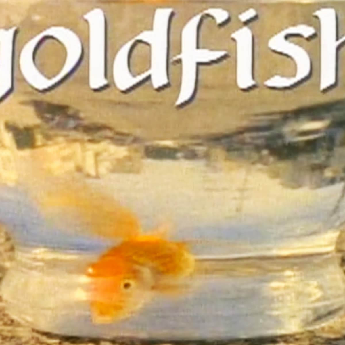 スケートボード goldfish VHS girl skateboards Girl 