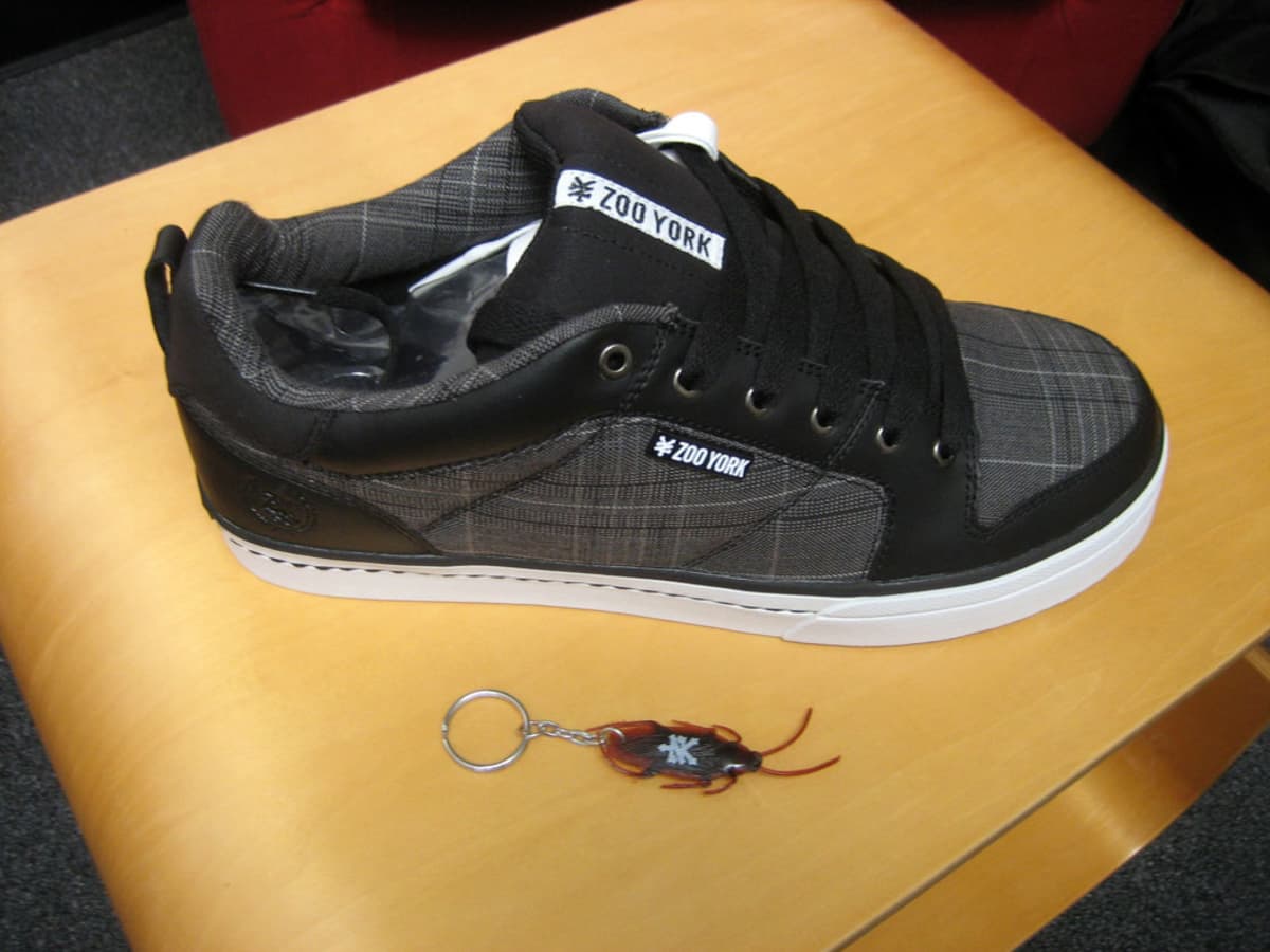zoo york footwear shoes sneakers cockroach TransWorld