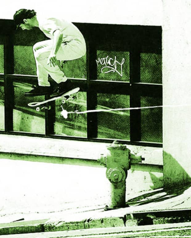 Emerica heath kirchart shoe store