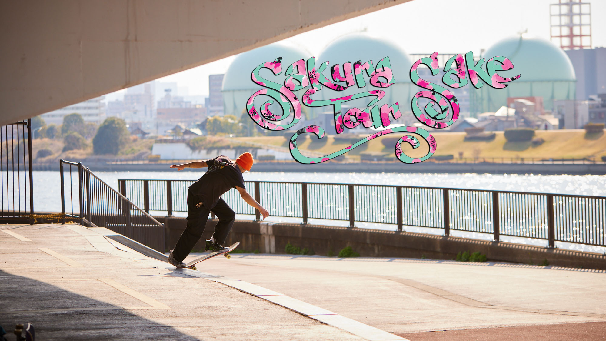 TransWorld SKATEboarding - Skateboarding News, Videos