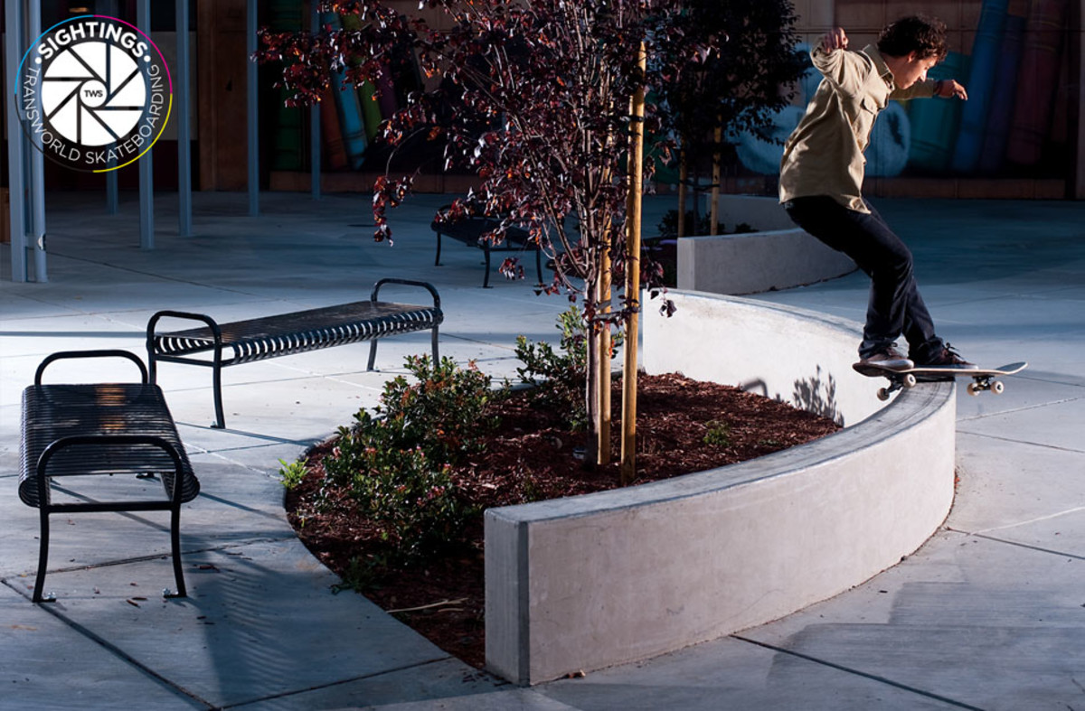 Wednesday Wallpaper: Austyn Gillette - TransWorld SKATEboarding Magazine