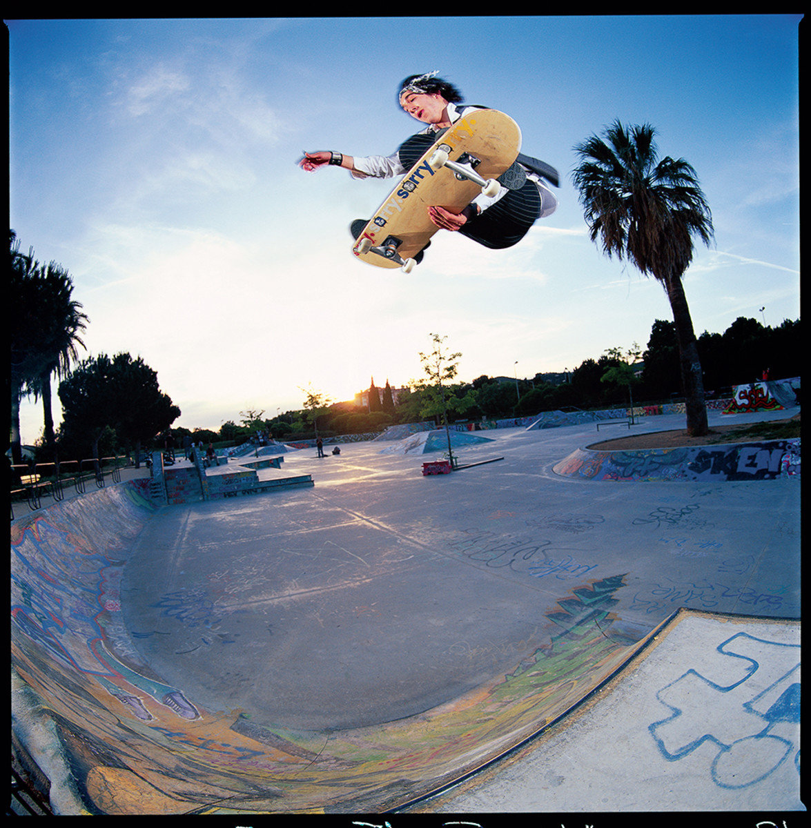 Photographic Memory Ali Boulala TransWorld SKATEboarding Magazine