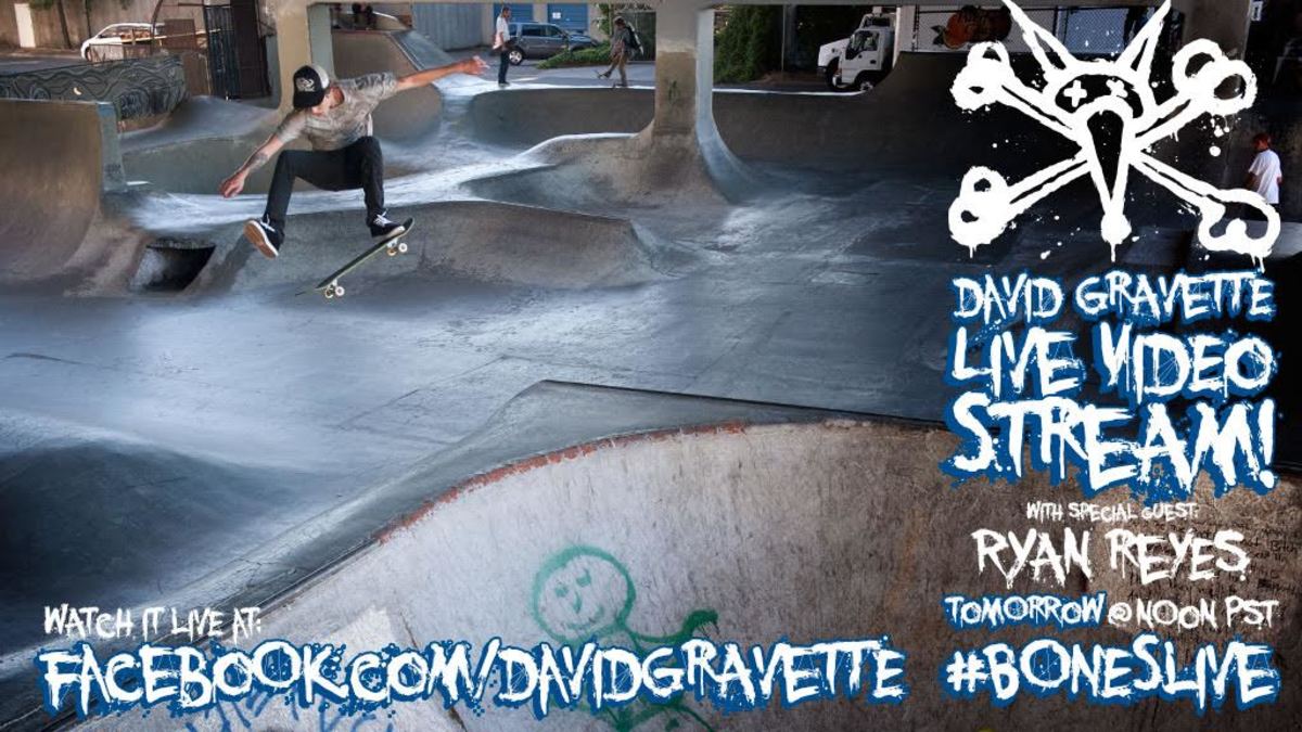Help Save Gravette's Local Park TransWorld SKATEboarding Magazine