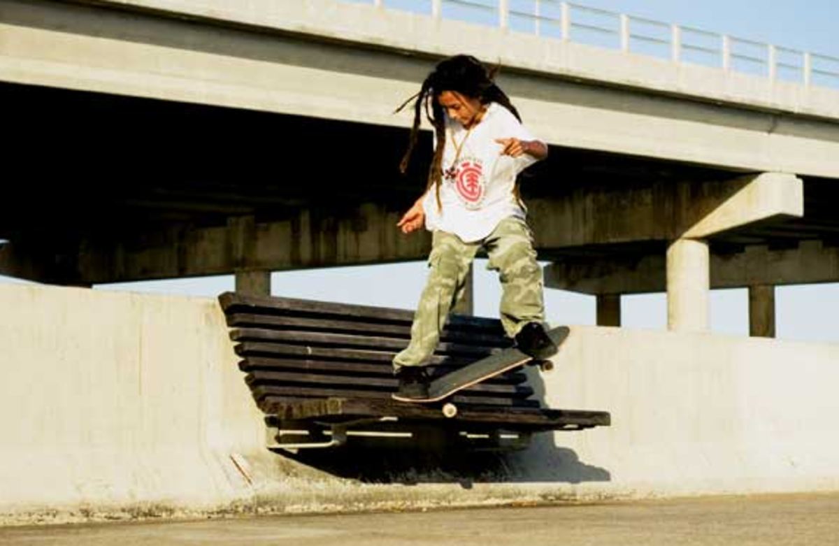 nyjah huston element