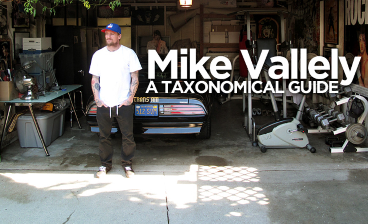 Mike Vallely A Taxonomical Guide TransWorld SKATEboarding Magazine