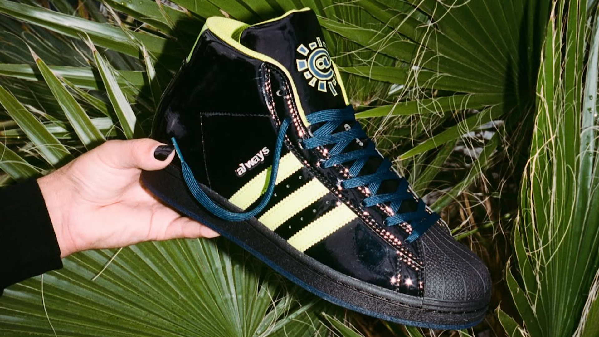 adidas skateboarding x