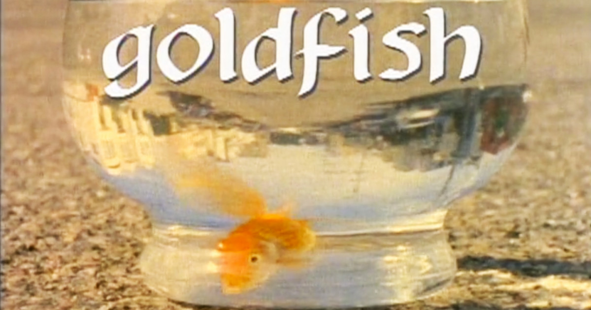 Girl Skateboards - Goldfish (1993) FULL VIDEO - Skateboarding