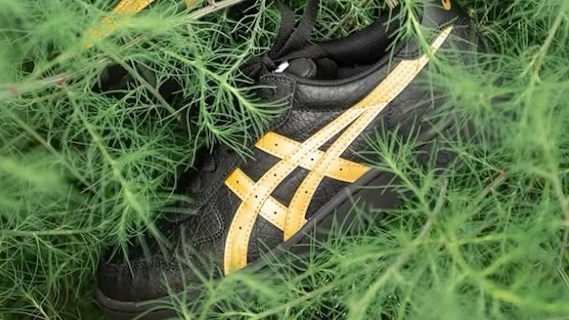 First Look: Asics Skateboarding Teases 'Japan Pro' in Black and