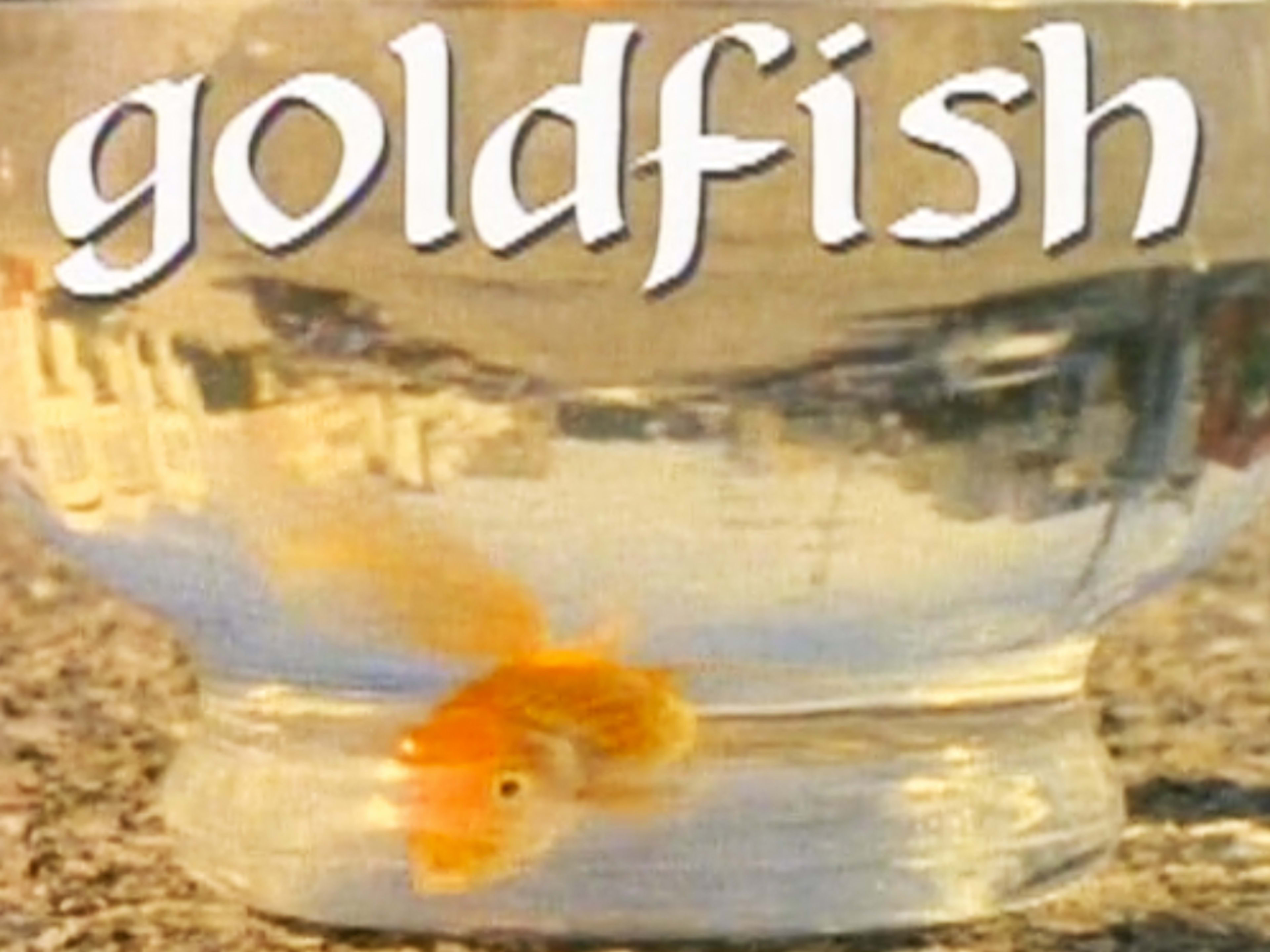 スケートボード goldfish VHS girl skateboards Girl Skateboards - Goldfish (1993) FULL VIDEO - Skateboarding