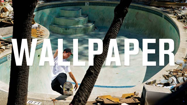 Wallpapermarquee_SKB1012_04