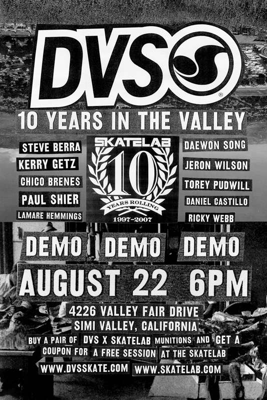 Dvs