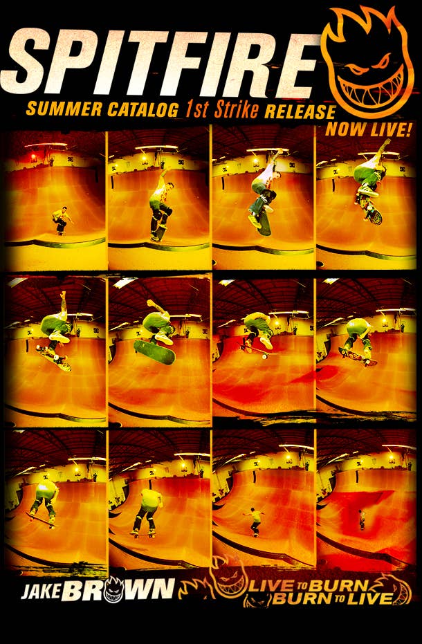 Sf_cat_live_flyer