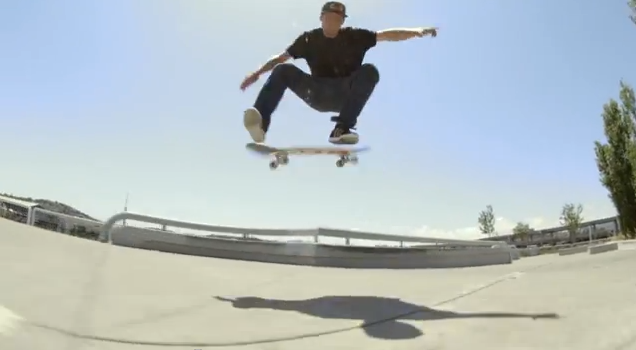 Adidas Skateboarding Busenitz ADV