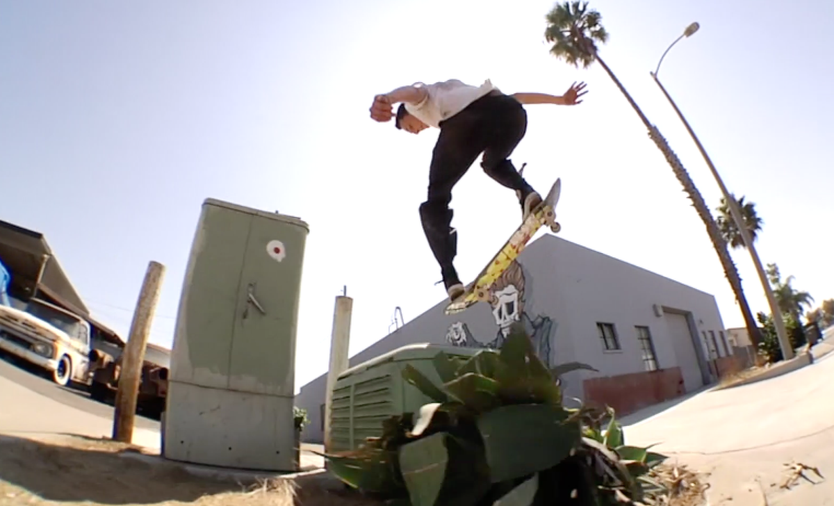 Jake Braun