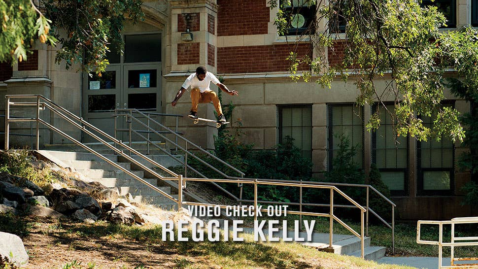 ReggieVCO_mantle