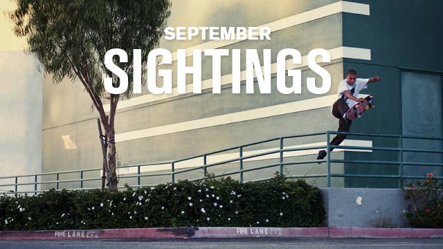 September Sightings