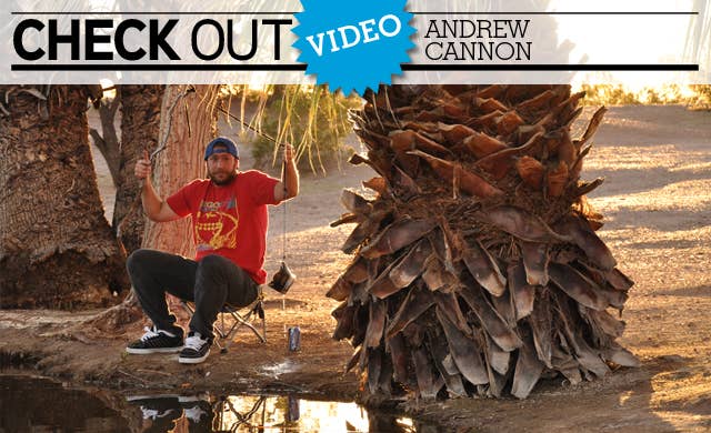 Andrewmarquee
