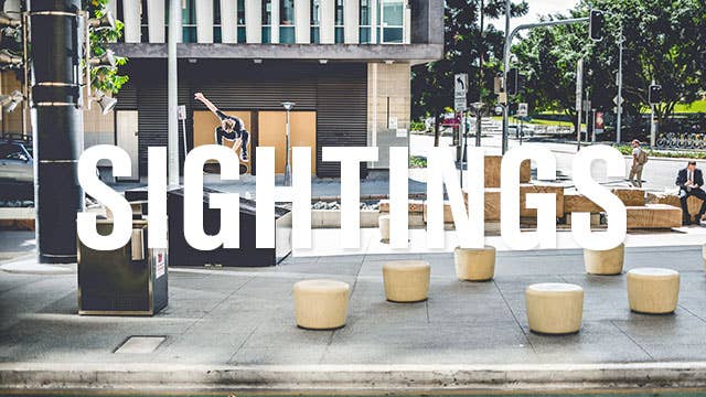 sightings