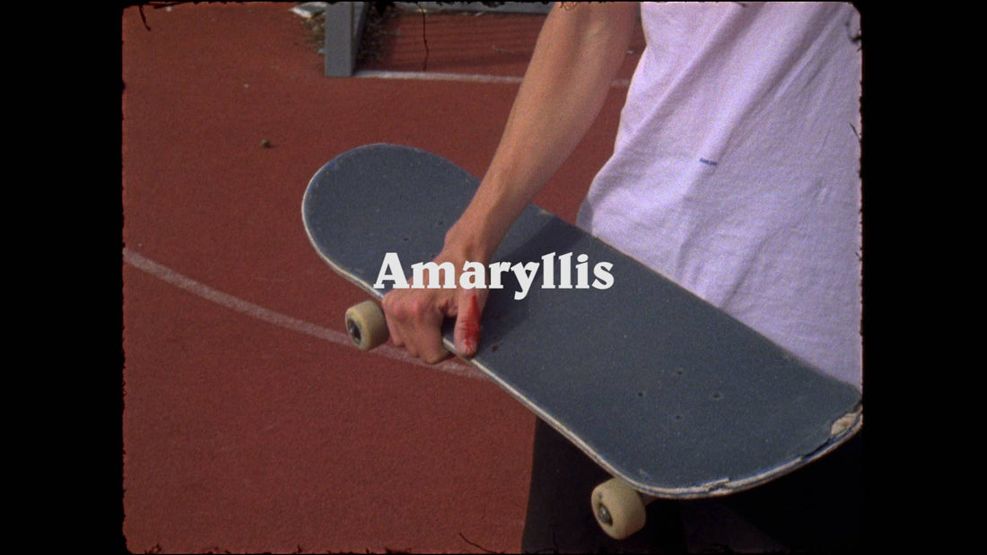 Amaryllis cover