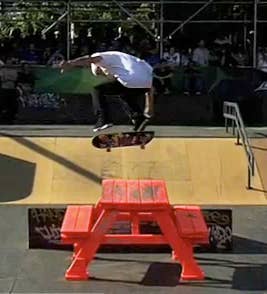 Shecklervideo