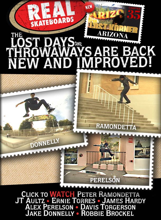 Rs lostdaysarizonaflyer