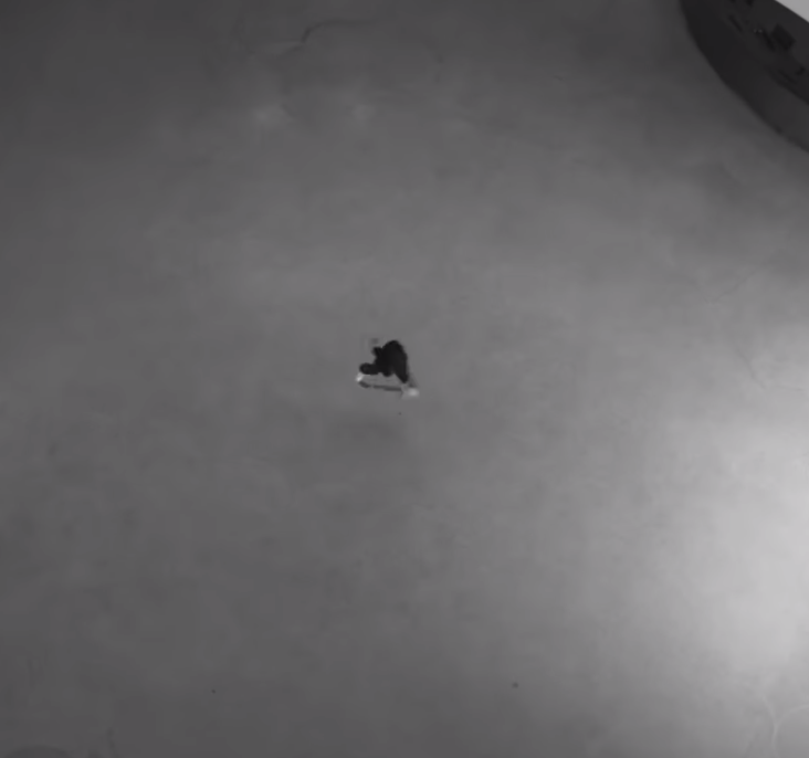 The Ultimate Crossover: Witness the First Skateboarder to Shred the Guggenheim Museum in NYC
