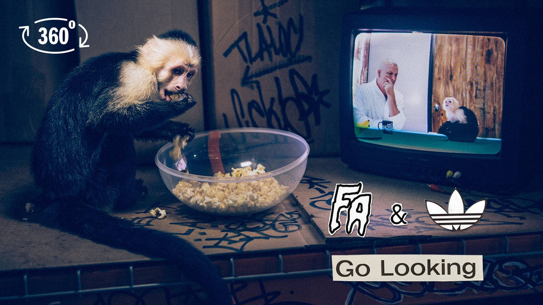 FA x jason dill x adidas skateboarding